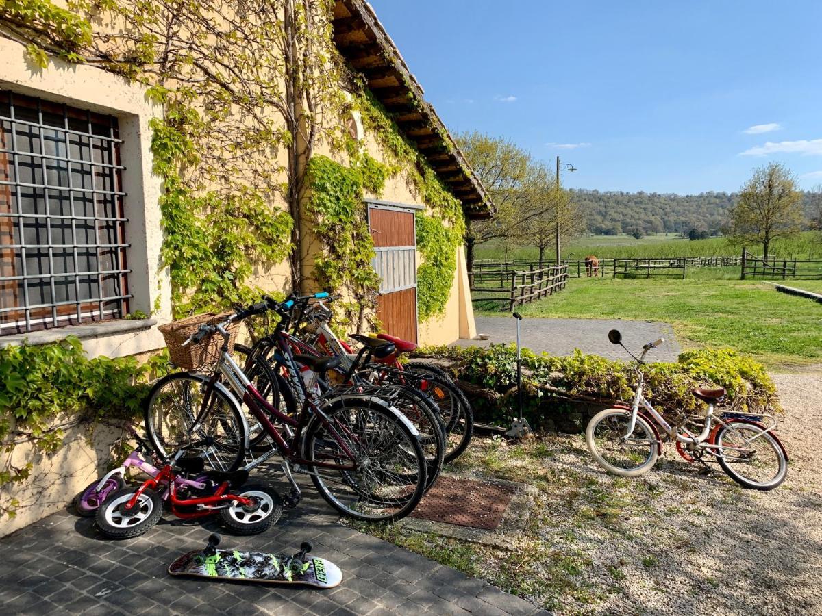 Agriturismo Potrero Grande Sul Lago Di Martignano Con Spiaggia Campagnano Di Roma Ngoại thất bức ảnh