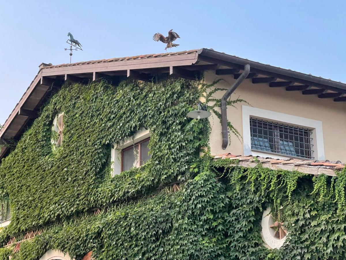 Agriturismo Potrero Grande Sul Lago Di Martignano Con Spiaggia Campagnano Di Roma Ngoại thất bức ảnh